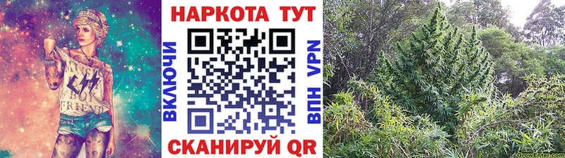 Каннабис Рубцовск