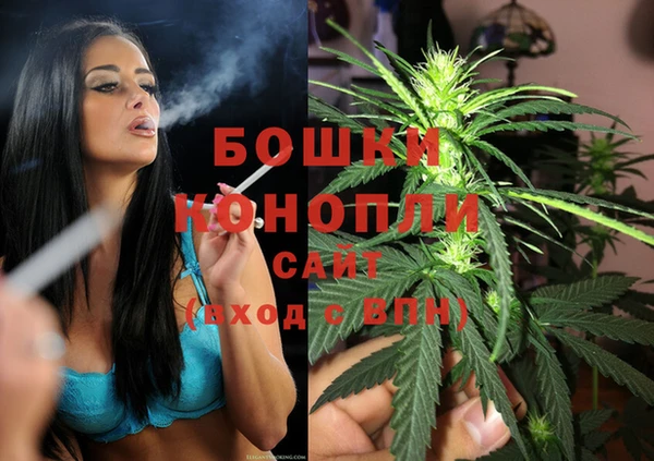 индика Майский