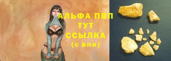 эйфоретик Магас