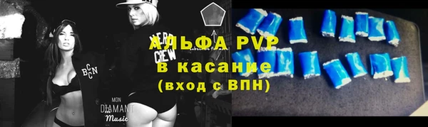 индика Майский