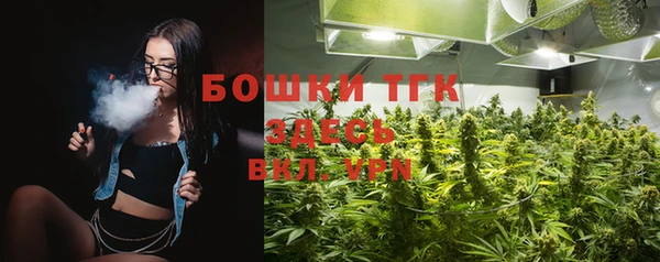 индика Майский
