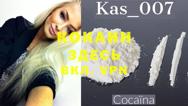 индика Майский