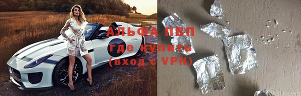 индика Майский