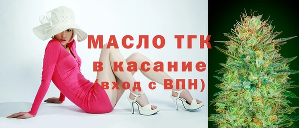 индика Майский